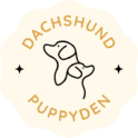 Dachshund Puppy Den